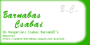 barnabas csabai business card